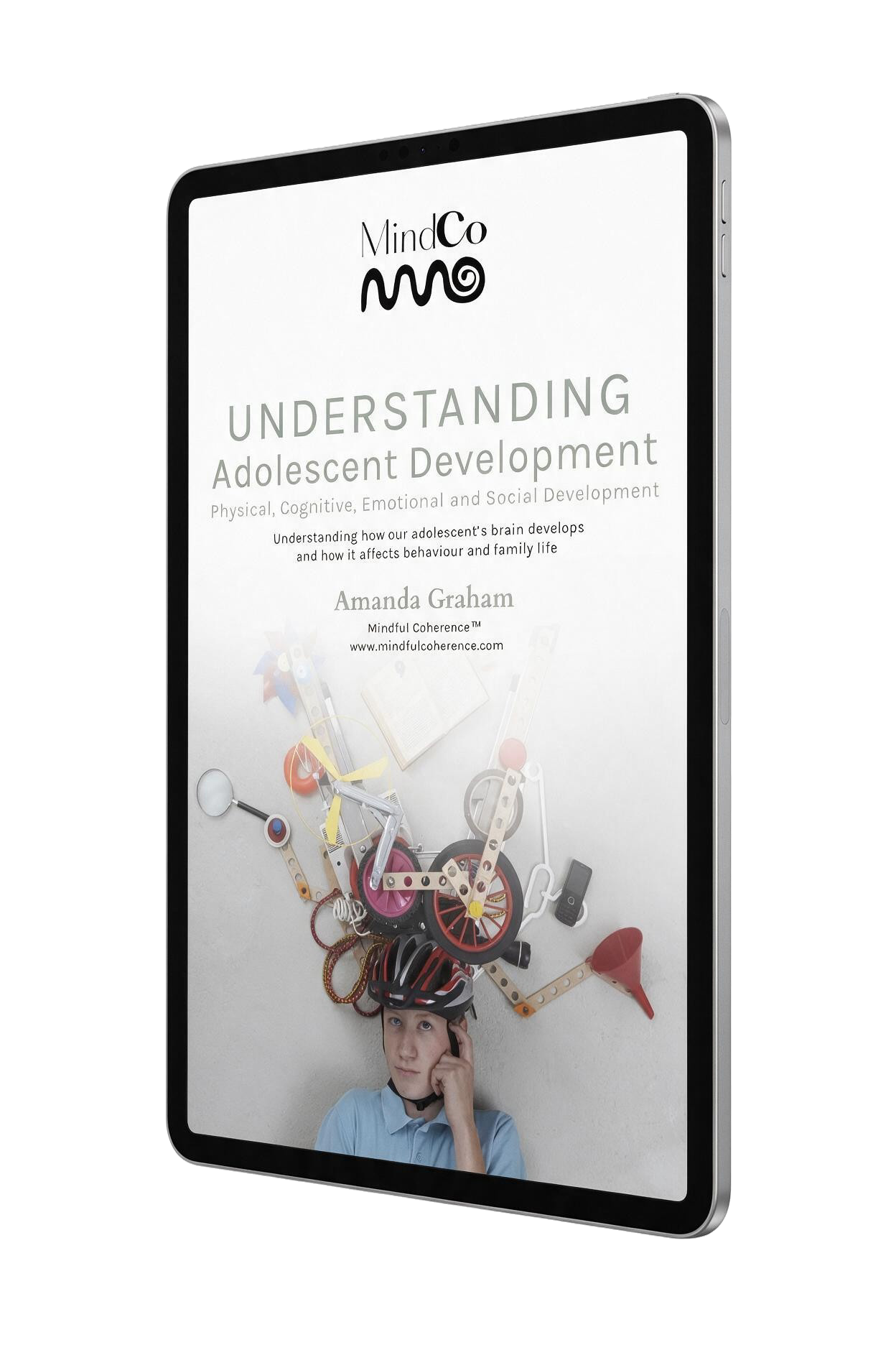 eBook iPad mockup